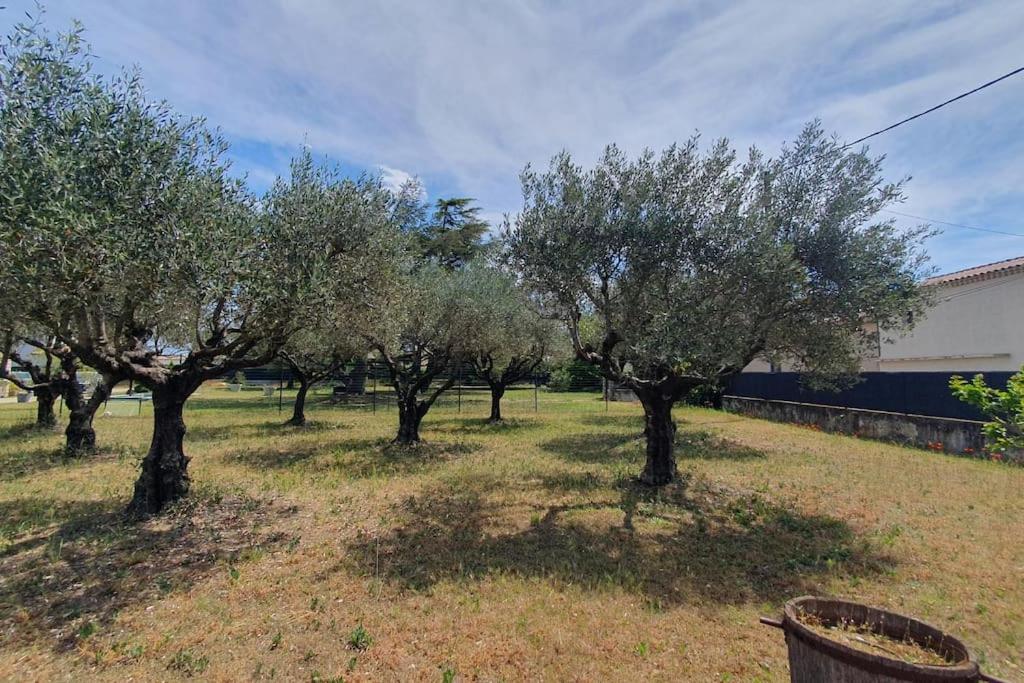 Villa Les Oliviers Orange (Vaucluse)