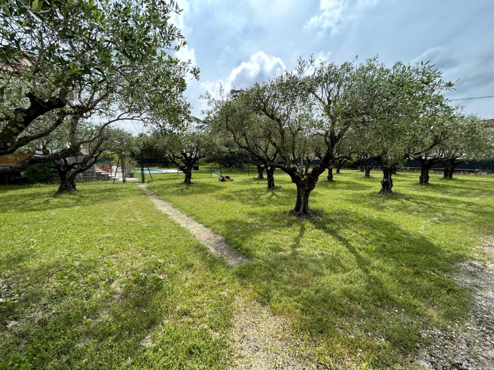 Les Oliviers Villa *