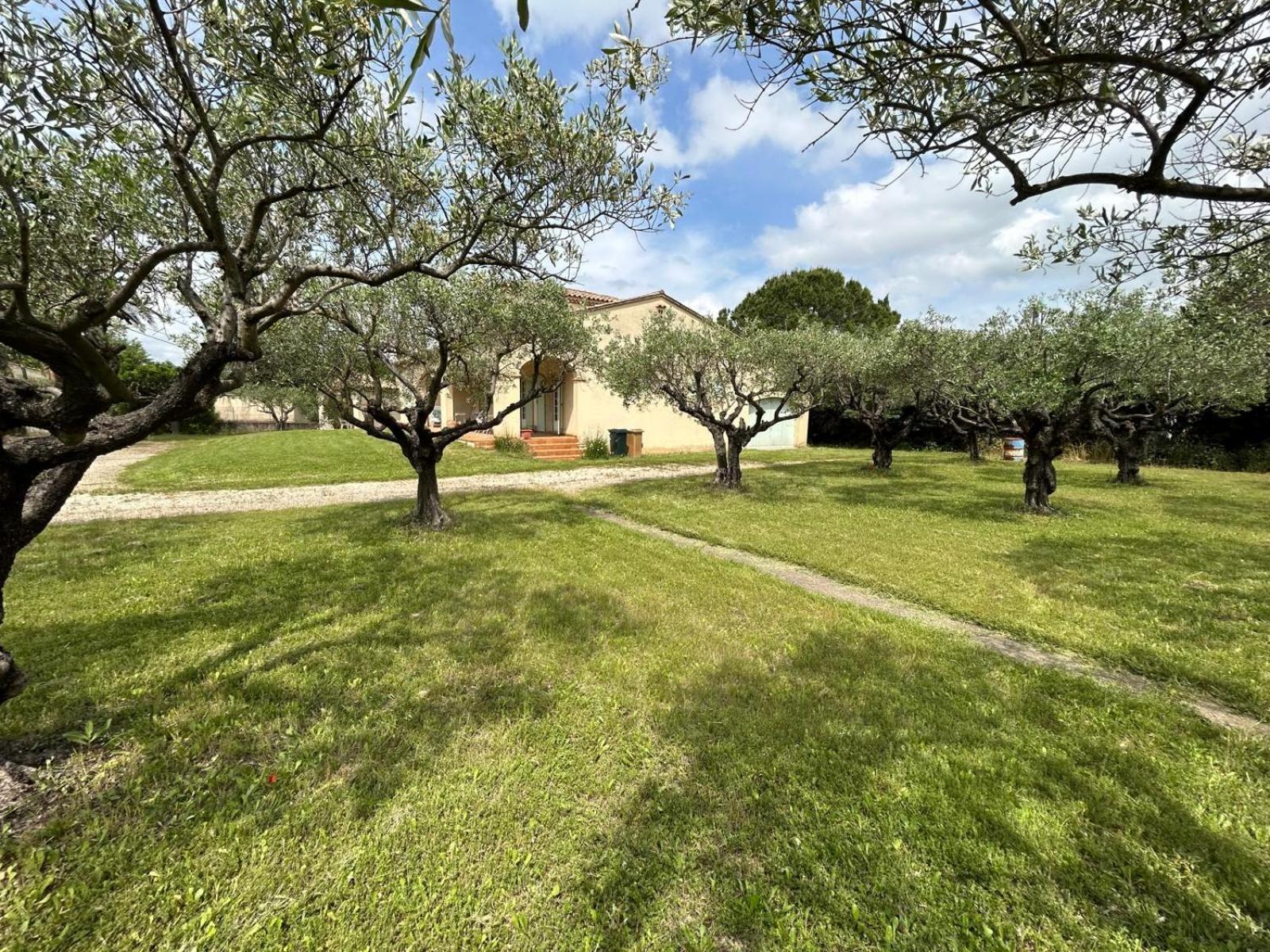 Les Oliviers * Orange (Vaucluse)